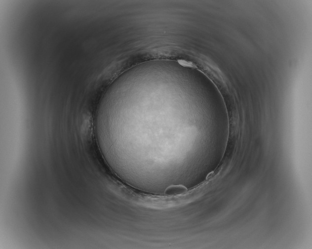 X0000116650029200912141304