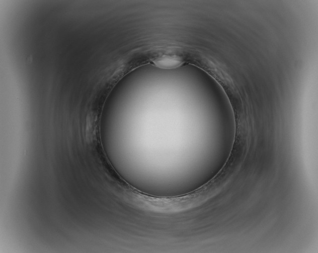 X0000116650030200912141304