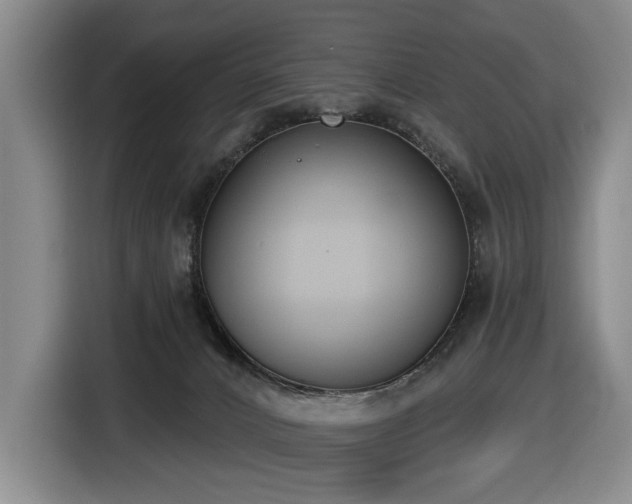 X0000116650032200912141304
