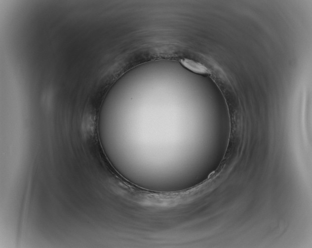 X0000116650033200912141304