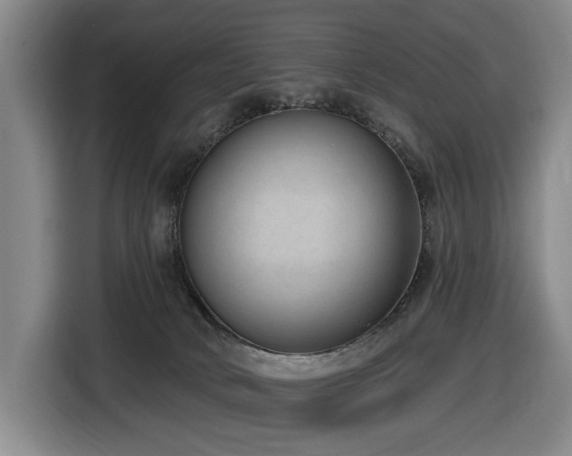 X0000116650034200912141304
