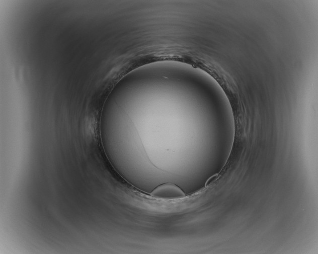 X0000116650035200912141304