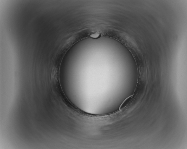 X0000116650036200912141304