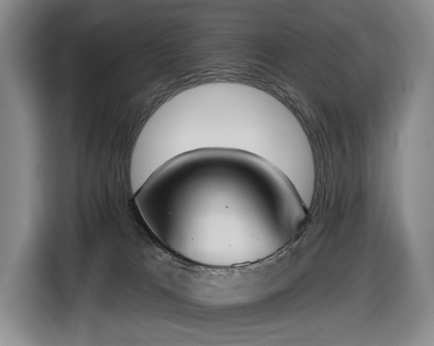 X0000116650037200912141304