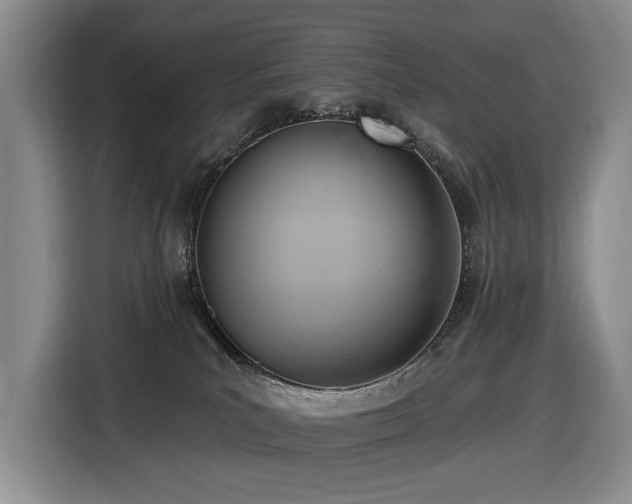 X0000116650039200912141304