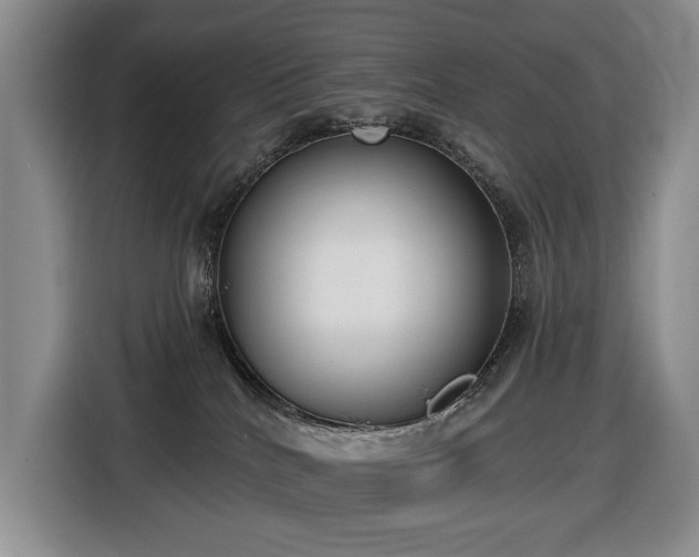 X0000116650040200912141304