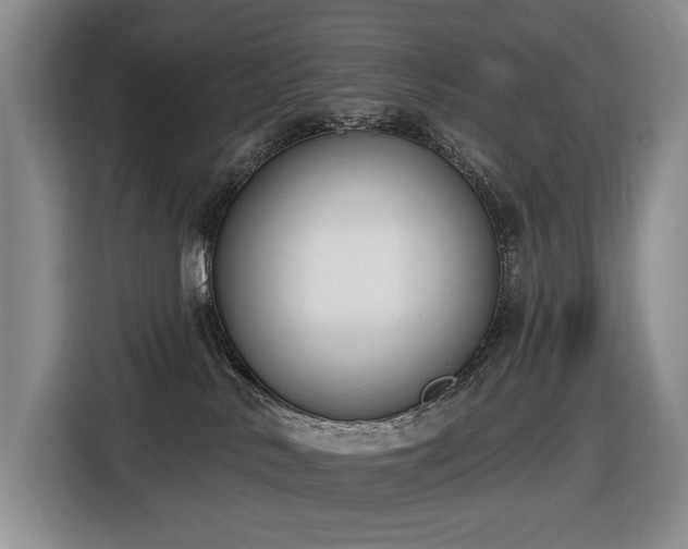 X0000116650042200912141304