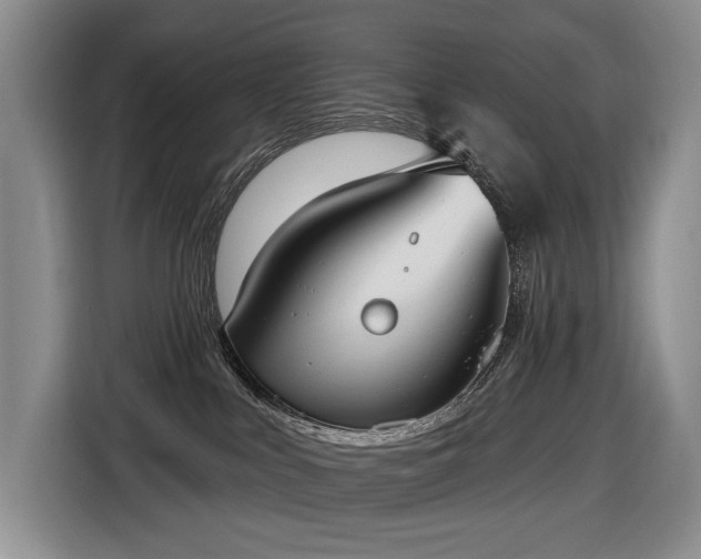 X0000116650043200912141304