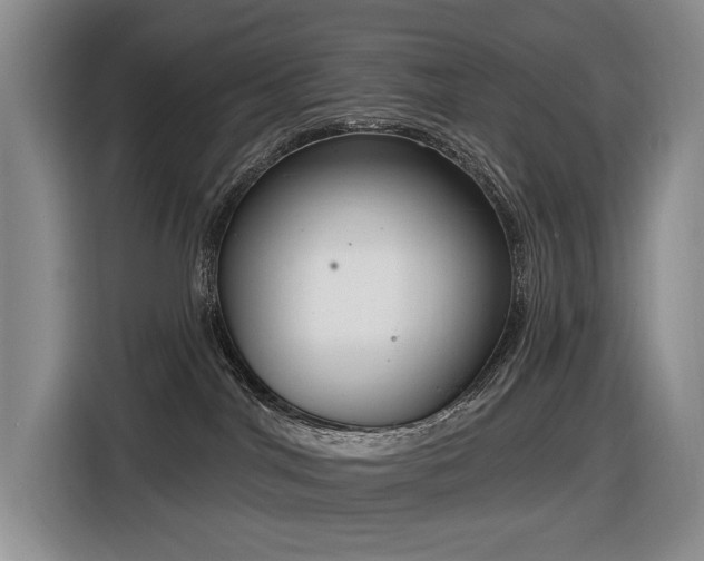 X0000116650044200912141304