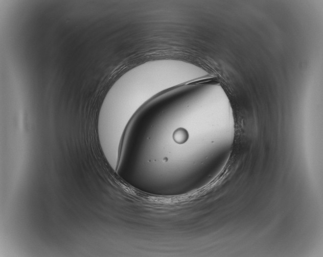 X0000116650045200912141304