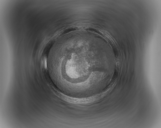 X0000116650046200912141304
