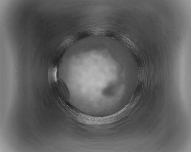 X0000116650047200912141304