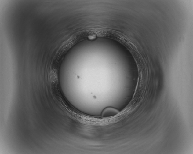 X0000116650048200912141304