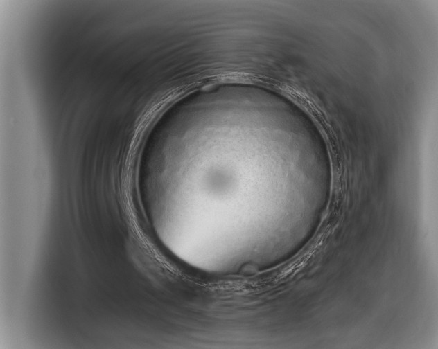 X0000116650049200912141303