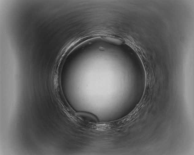 X0000116650050200912141303