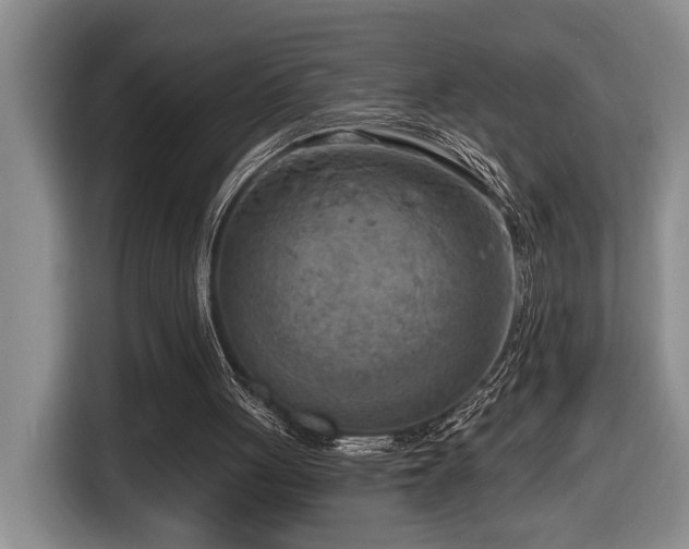 X0000116650051200912141303