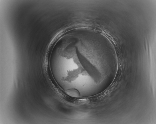 X0000116650053200912141303