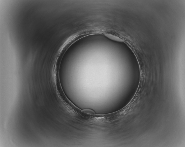 X0000116650054200912141303