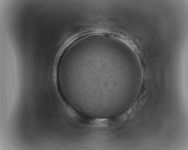 X0000116650055200912141303