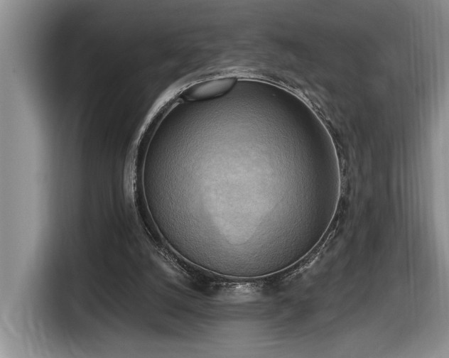 X0000116650056200912141303