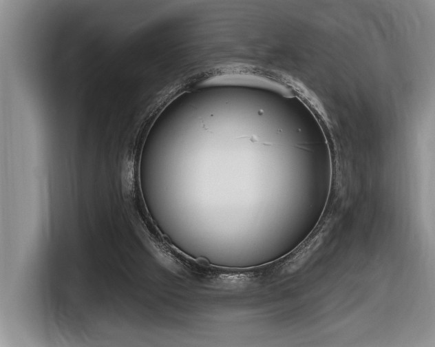 X0000116650057200912141303