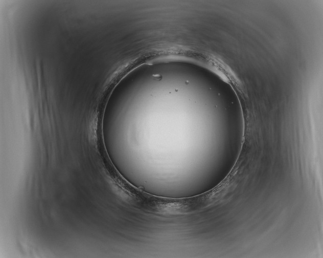 X0000116650058200912141303
