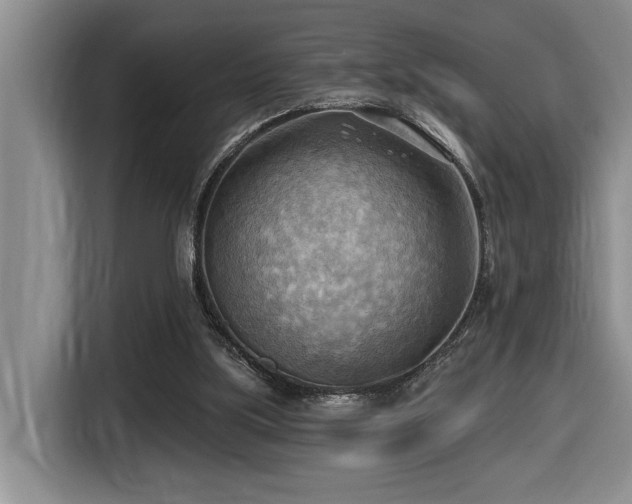 X0000116650059200912141303