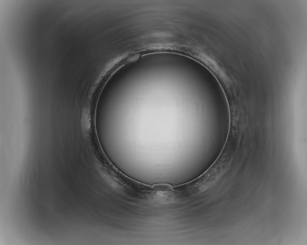 X0000116650060200912141303