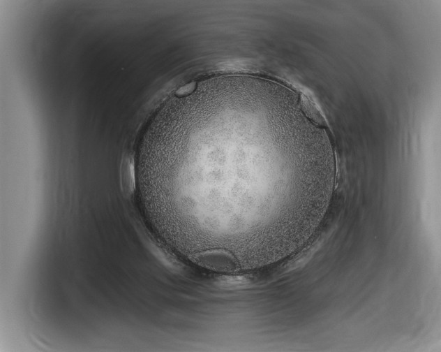 X0000116650061200912141303