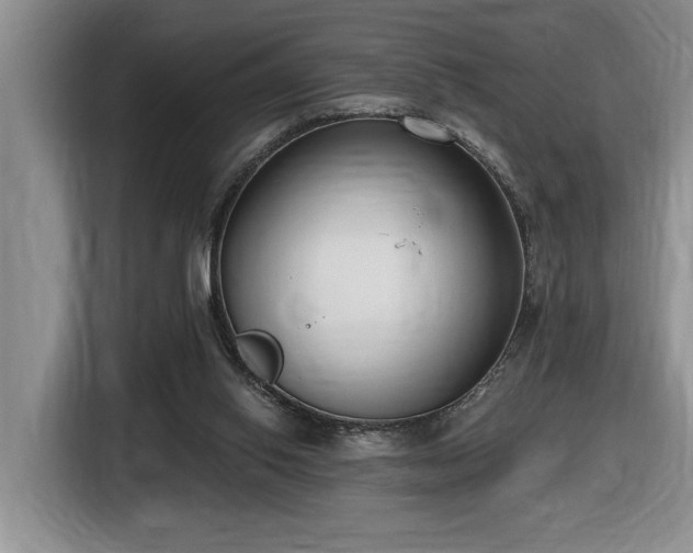 X0000116650062200912141303