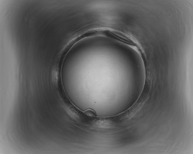 X0000116650063200912141303