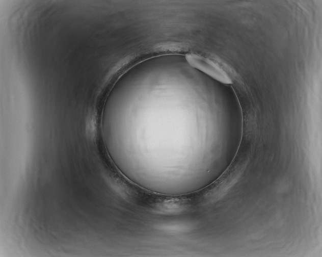 X0000116650064200912141303