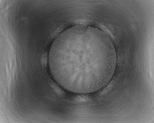 X0000116650065200912141304