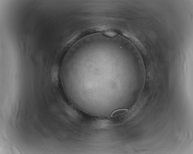 X0000116650066200912141304