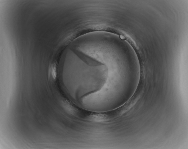 X0000116650069200912141304