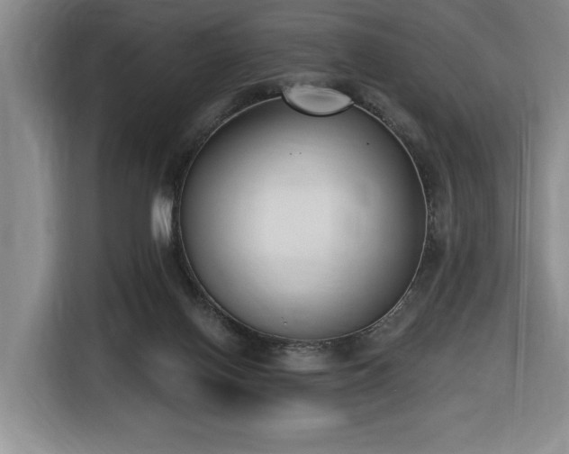 X0000116650070200912141304
