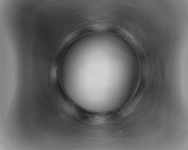 X0000116650071200912141304