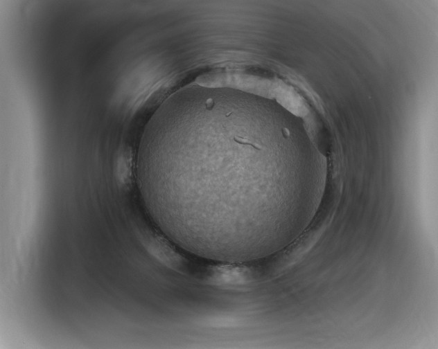 X0000116650073200912141304