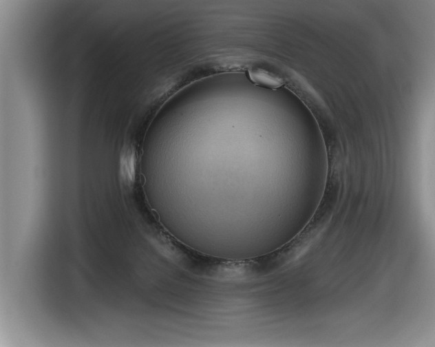 X0000116650076200912141304