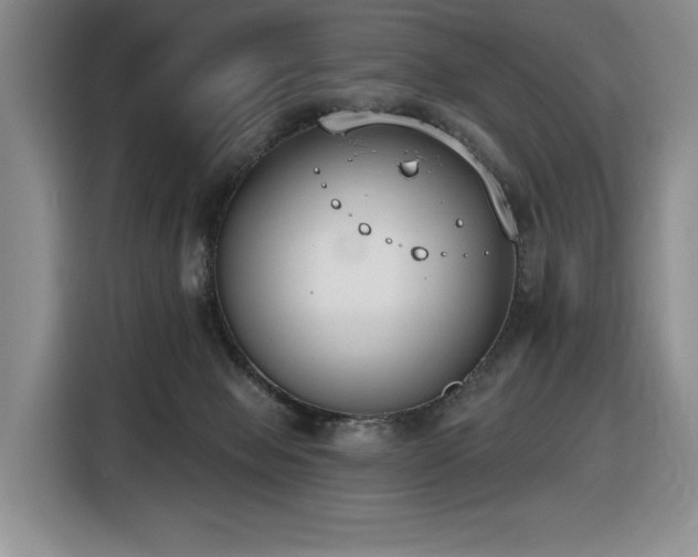 X0000116650077200912141304