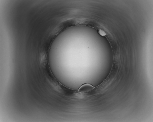 X0000116650079200912141304
