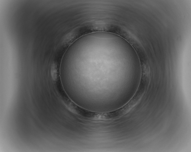 X0000116650080200912141304