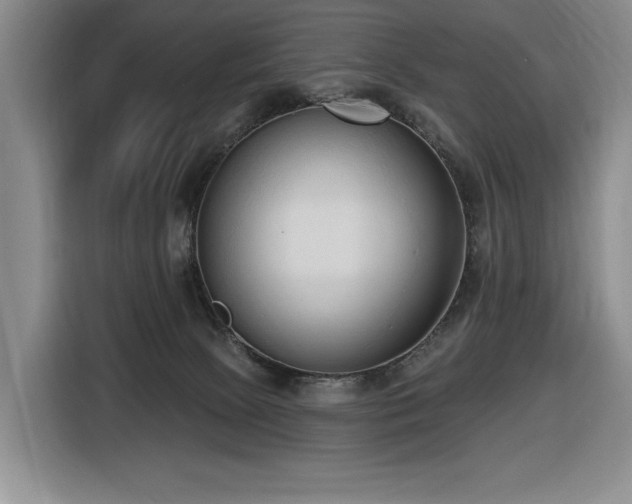X0000116650081200912141304