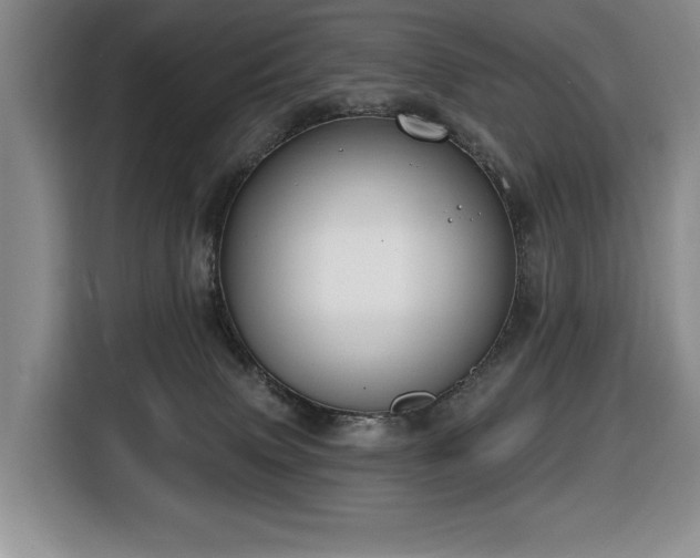 X0000116650083200912141304