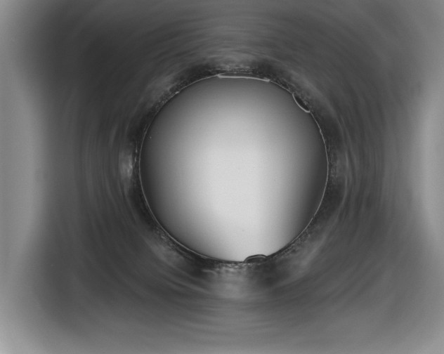 X0000116650084200912141304