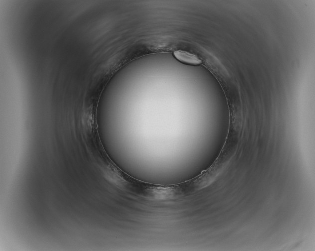 X0000116650085200912141304