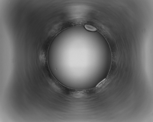 X0000116650086200912141304