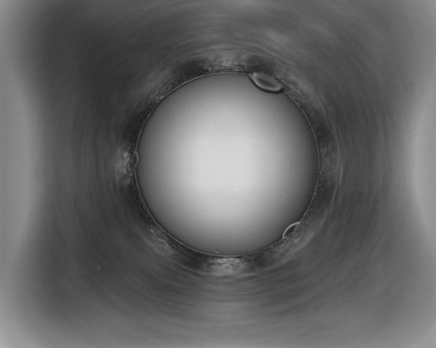 X0000116650087200912141304