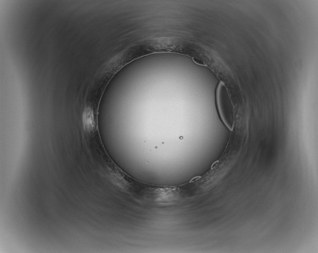 X0000116650089200912141304