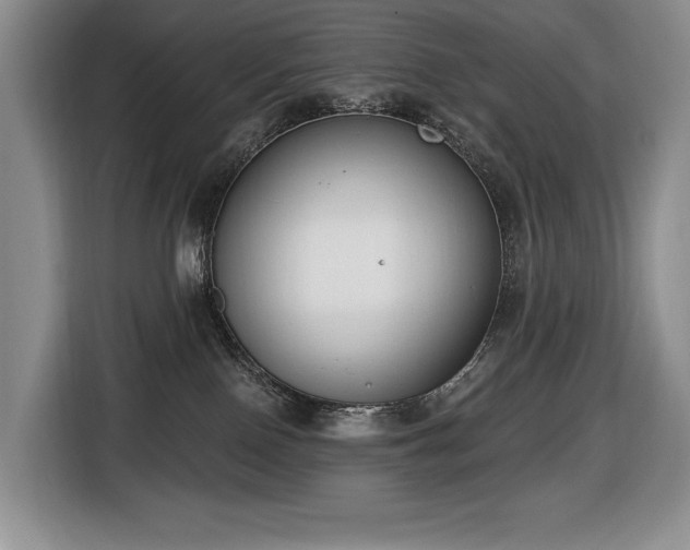 X0000116650090200912141304